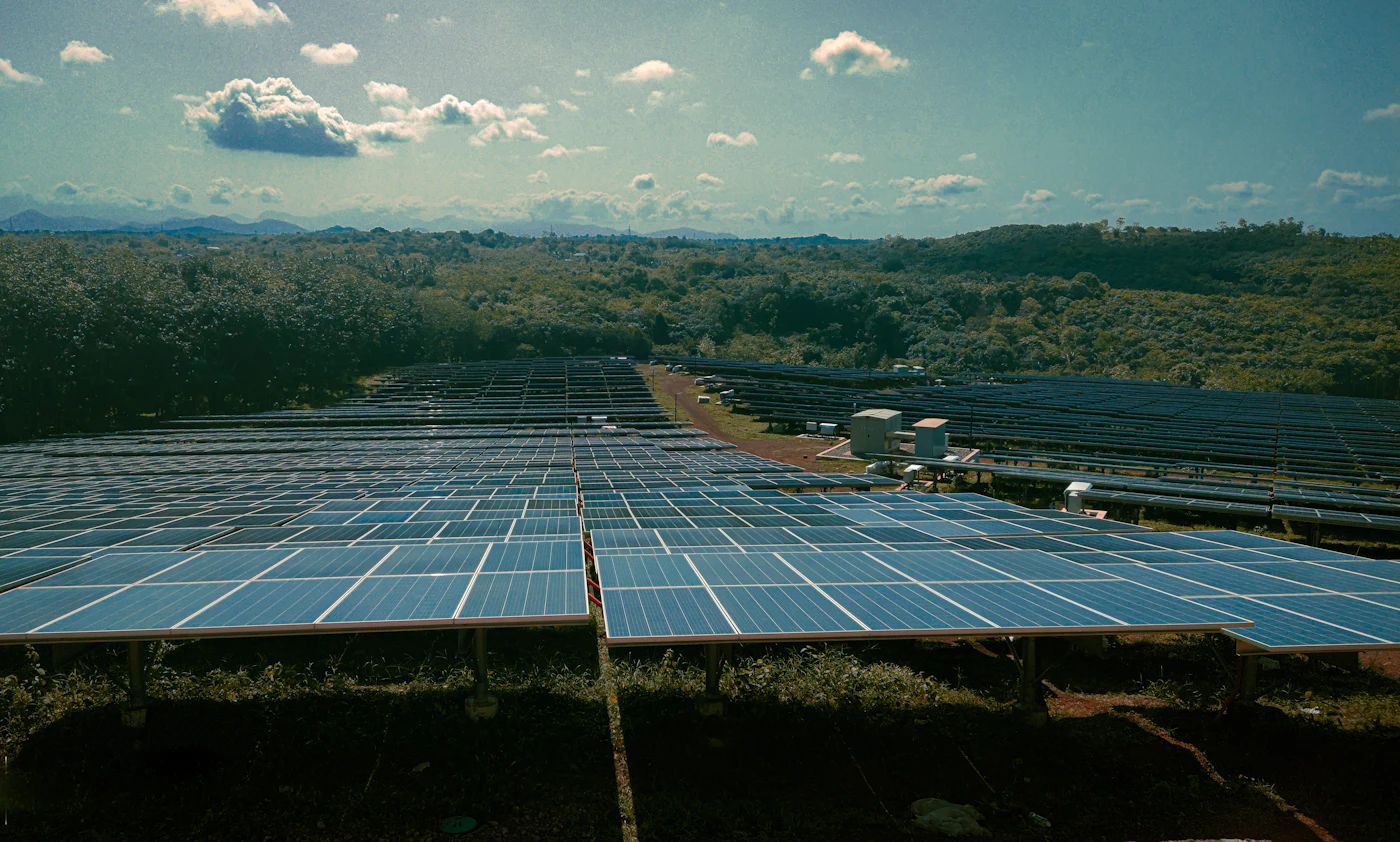 Rows of solar panels in a renewable energy installation